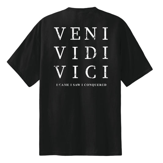 VENI VIDI VICI